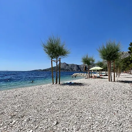 Newly Renovated With A Beautiful View Apartamento *